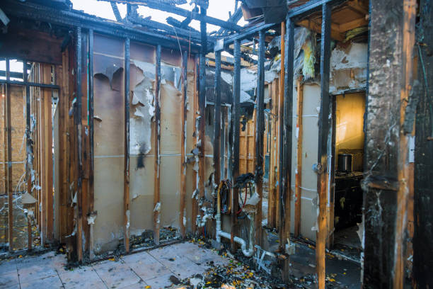 Professional Smoke Damage Removal technician working in New Buffalo, MI